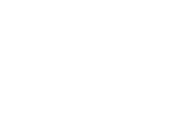 Elisa Esports