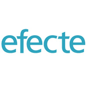 Efecte Finland Oy logo